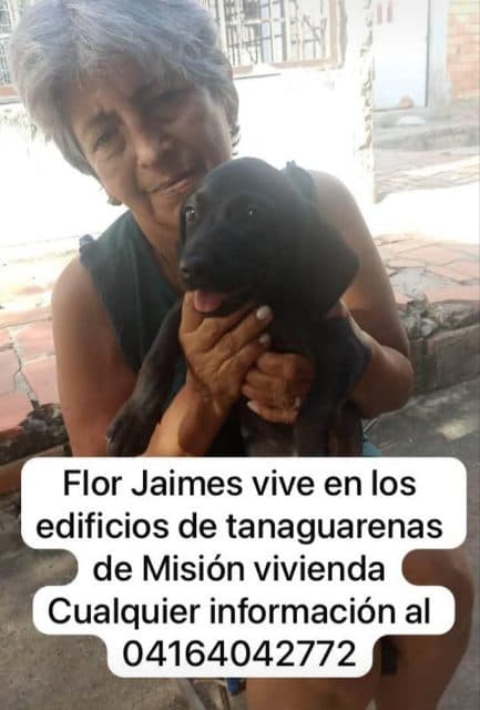 Foto de Flor