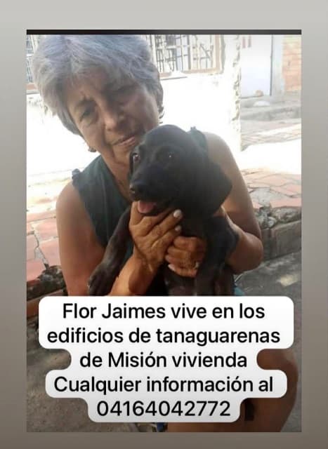 Foto de Flor